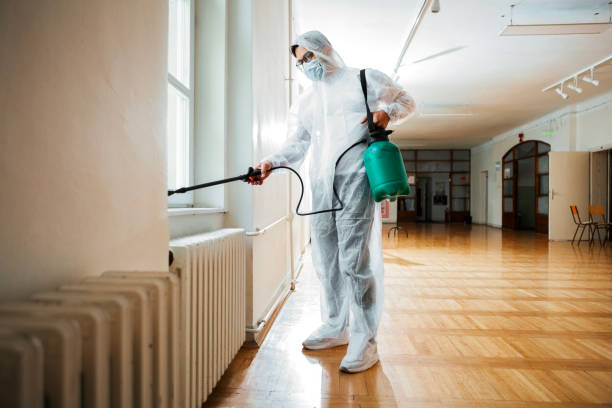 Best Wasp Removal Services  in Marlin, TX