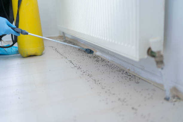 Best Cockroach Control Services  in Marlin, TX